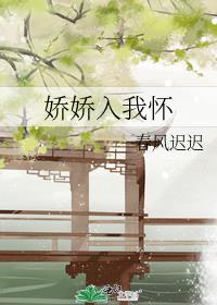 娇娇入我怀封面