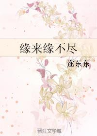 缘来缘不尽封面