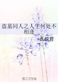 盗墓同人之人生何处不相逢封面