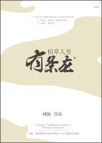 稻草人里有条龙封面
