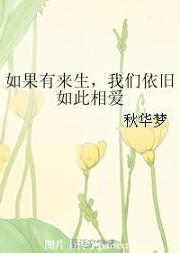 如果有来生，我们依旧如此相爱封面