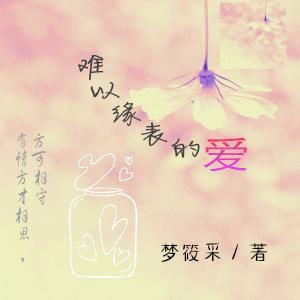 难以缘表的爱封面