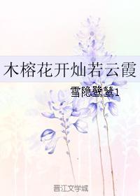 木榕花开灿若云霞封面