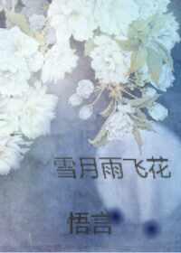 雪月雨飞花封面