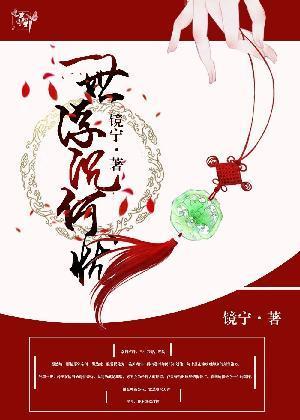 一世浮沈何忧封面