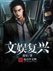 文娱覆兴封面