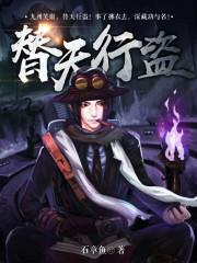 替天行盗封面