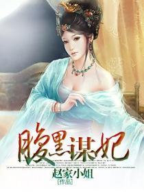 腹黑谋妃封面