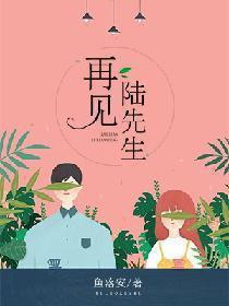再见陆先生封面