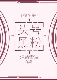 [综英美]头号黑粉封面