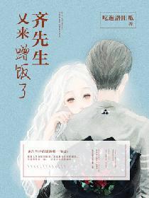 齐先生又来蹭饭了封面