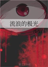 流浪的极光封面