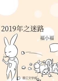 2019年之迷路封面