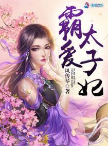 霸爱太子妃封面
