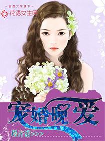 宠婚晚爱封面