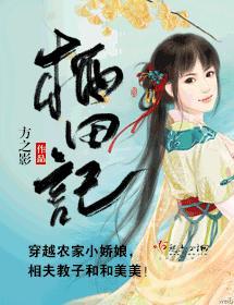 栖田记封面