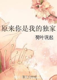 原来你是我的独家封面