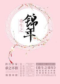 重生之锦年封面