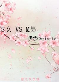S女 VS M男封面