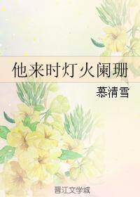 他来时灯火阑珊封面