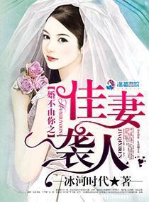 婚不由你之佳妻袭人封面