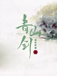 青山剑封面