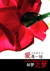 爱是一场如梦之梦封面