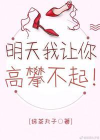 明天我让你高攀不起封面