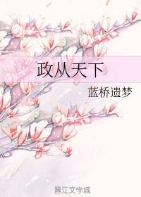 政从天下封面