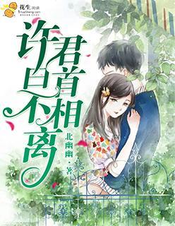 许君白首不相离封面