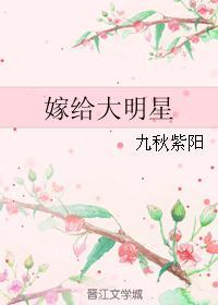 嫁给大明星封面