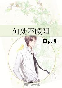何处不暖阳封面