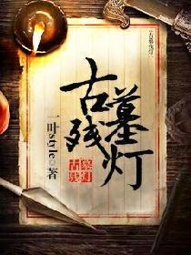 古墓残灯封面