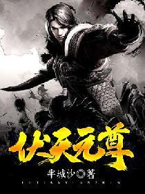 伏天元尊封面