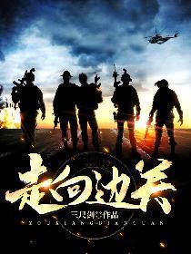 走向边关封面