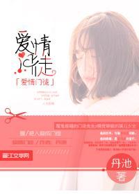 爱情门徒封面