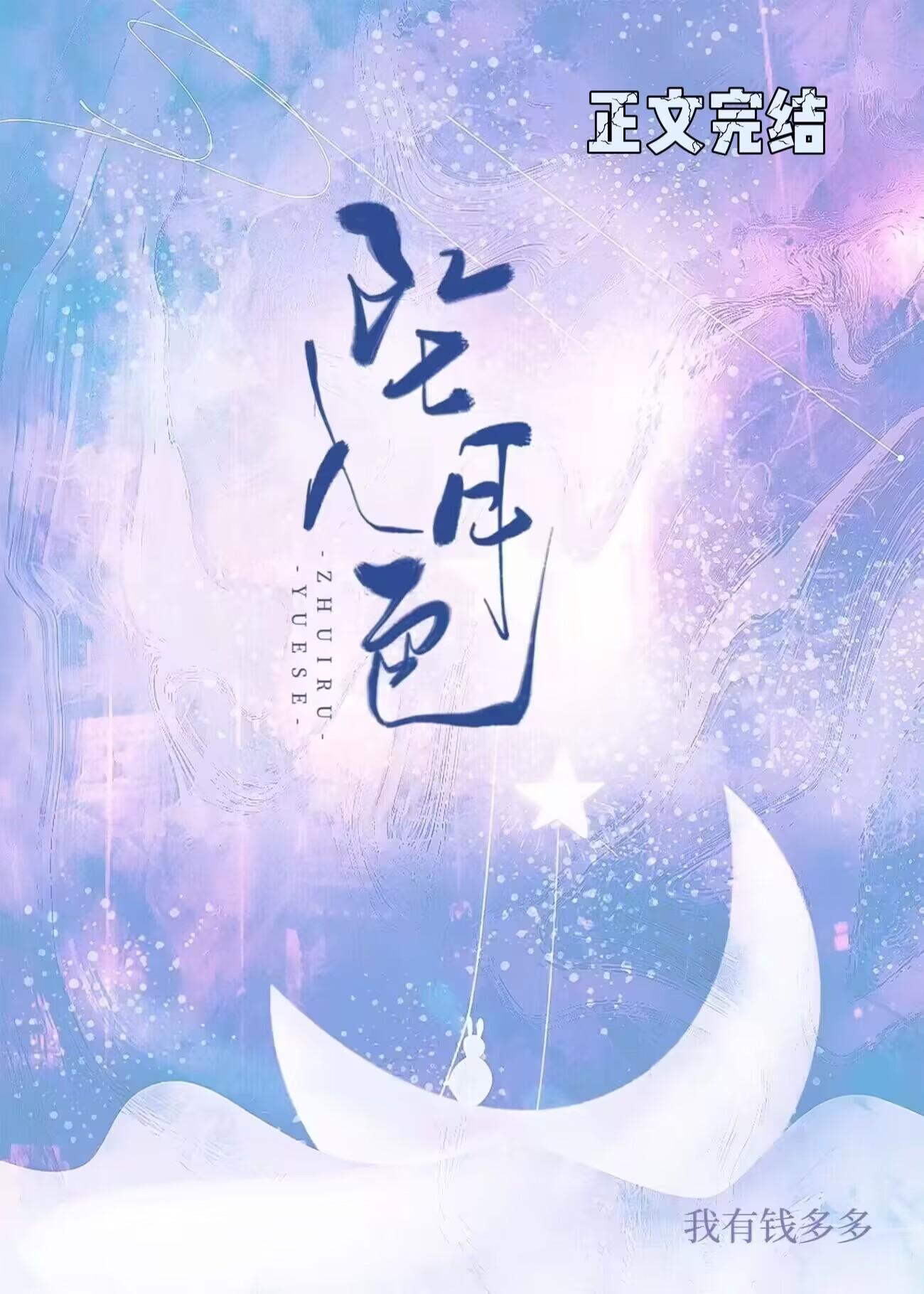 坠入月色封面