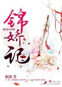 锦娇记封面