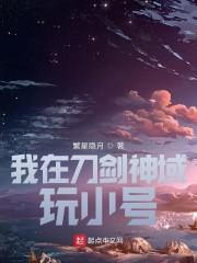 我在刀剑神域玩小号封面