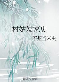 村姑发家史封面