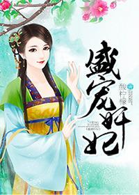 盛宠奸妃封面