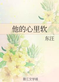 他的心里软封面