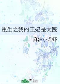 重生之我的王妃是太医封面