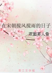在宋朝搅风搅雨的日子封面