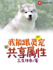 我能跟灵宠共享属性封面