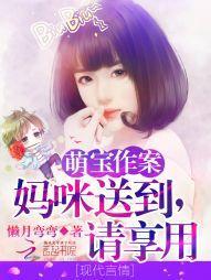 萌宝作案：妈咪送到，请享用！封面