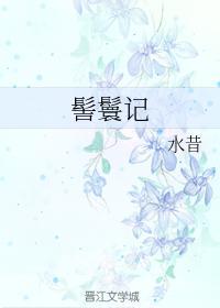 髻鬟记封面