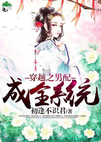 穿越之男配成全系统封面