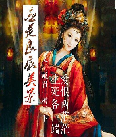 应是良辰美景封面