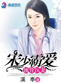 宋少霸爱蚀骨医妻封面